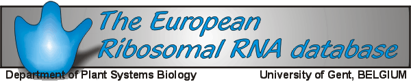 The European ribosomal RNA database